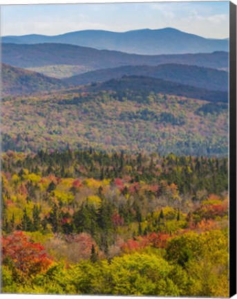 Framed Vermont&#39;s Colors Print