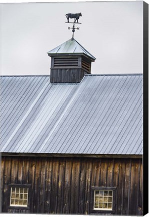 Framed Weathervane Print