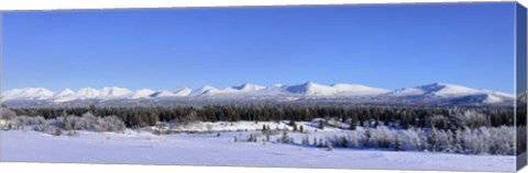 Framed Winter Wilderness Print
