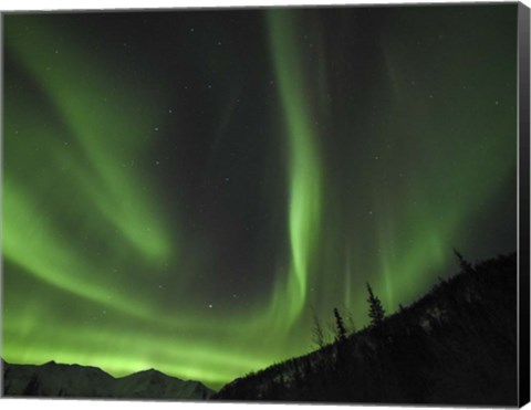 Framed Winter&#39;s Night Sky Print