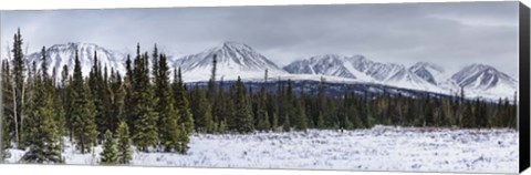 Framed Winterscape Print