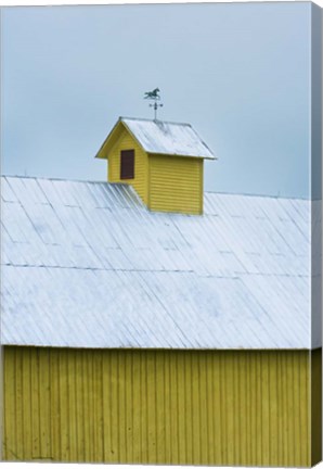 Framed Yellow Cupula Print