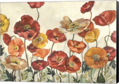 Framed Field Of Poppies Print