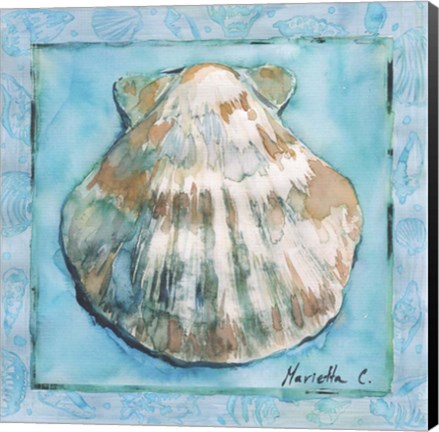 Framed Shell 1 Print