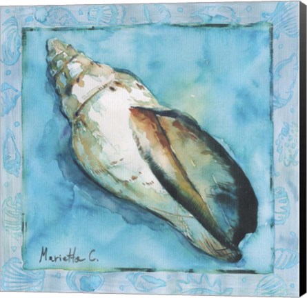 Framed Shell 2 Print