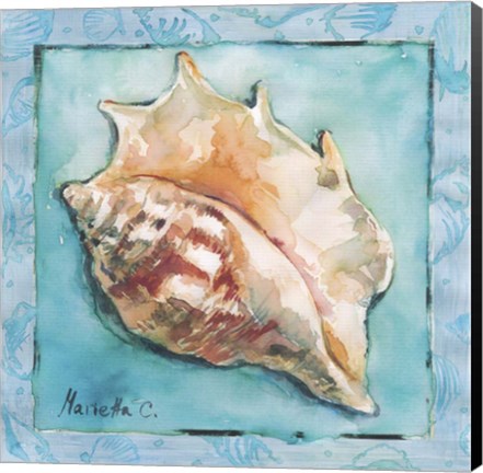 Framed Shell 3 Print