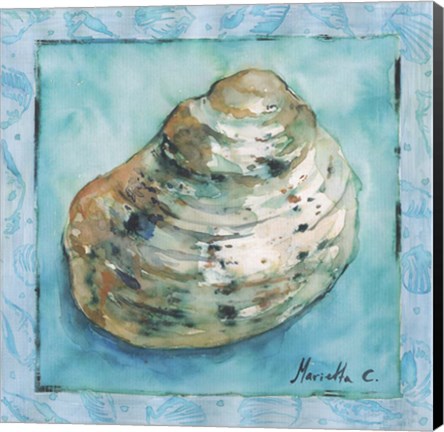 Framed Shell 4 Print
