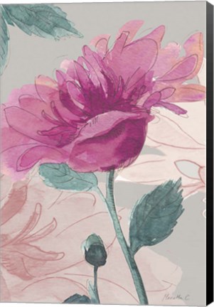 Framed Flower Sketch 1 Print