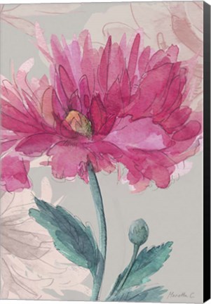 Framed Flower Sketch 2 Print