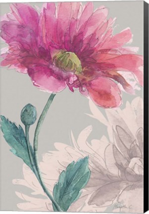 Framed Flower Sketch 3 Print