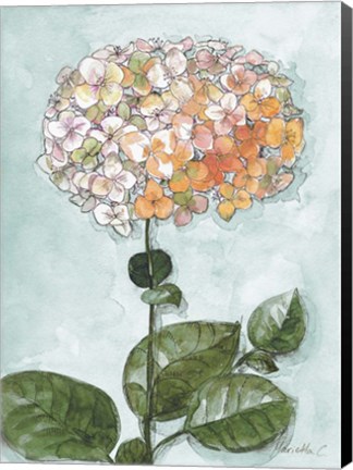 Framed Flowers Study 1 Blue Print