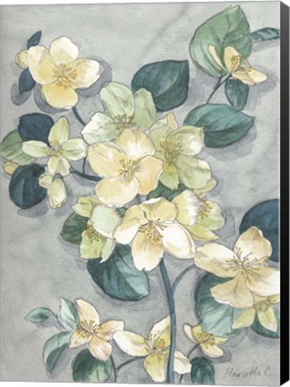 Framed Flowers Study 2 Print