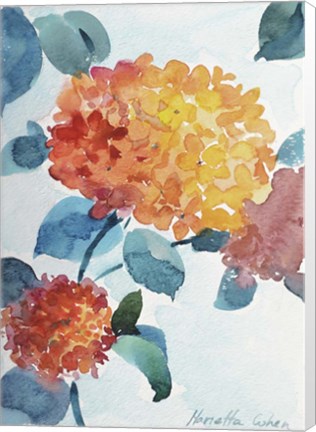 Framed Watercolor Hortensia 2 Print