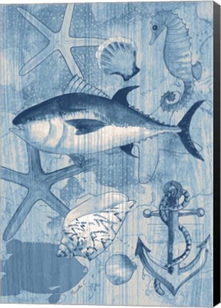 Framed Coastal I Blue Print