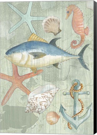 Framed Coastal I Print