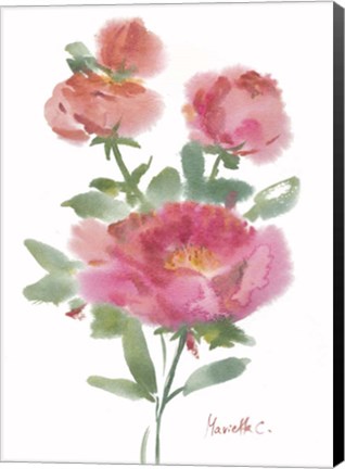 Framed Flower Series 1 Print