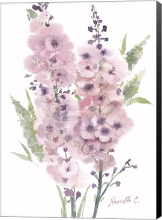 Framed Flower Series 4 Print