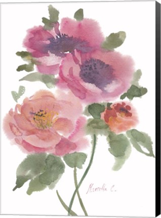 Framed Flower Series 5 Print