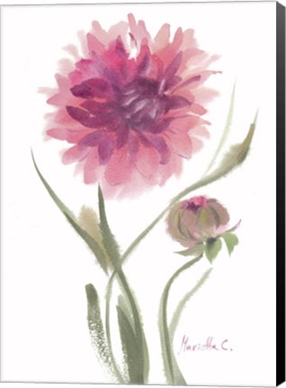 Framed Flower Series 6 Print