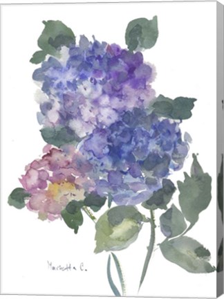 Framed Hidragenia 1 Print