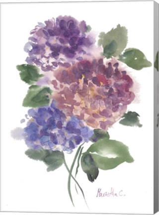 Framed Hidragenia 2 Print