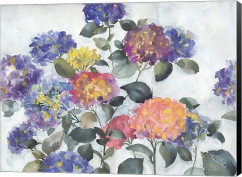 Framed Hortensia Delight Print