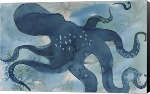 Framed Octopus III Print