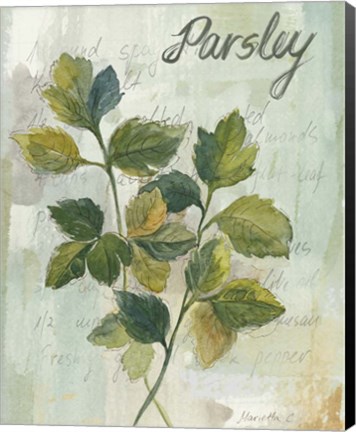 Framed Parsley Print