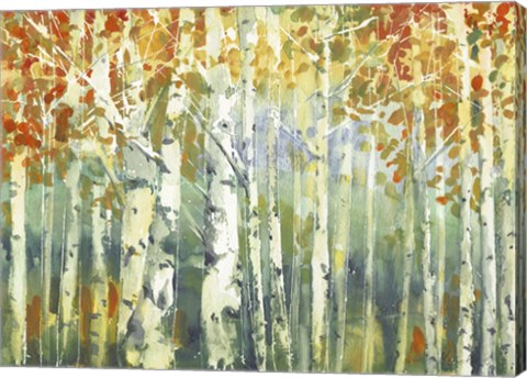 Framed Abstract Birch Trees Warm Print