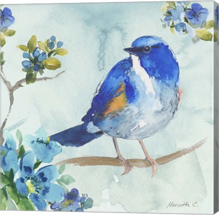 Framed Bird On Branch 1 Print