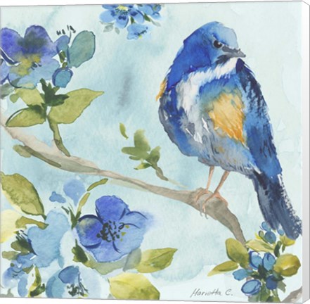 Framed Bird On Branch 2 Print