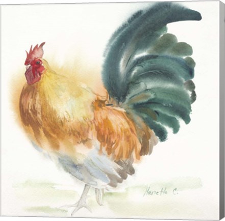 Framed Orange Rooster Print