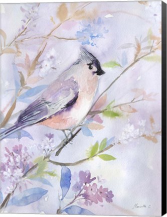 Framed Pastel Birds 1 Print