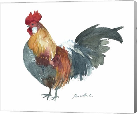 Framed Rooster A Print