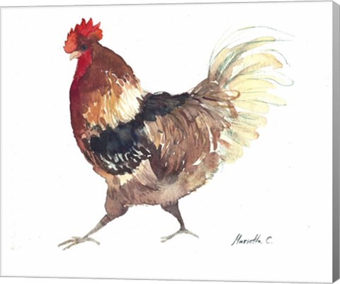 Framed Rooster B Print
