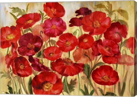Framed Red Poppies Print