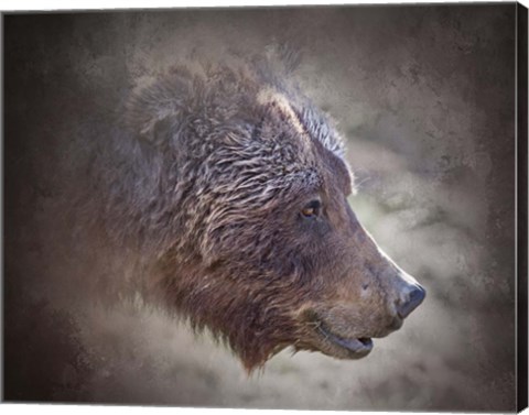 Framed Grizzly Bear Boar Print