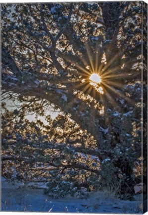 Framed New Years Steens Mountain Sunrise Print