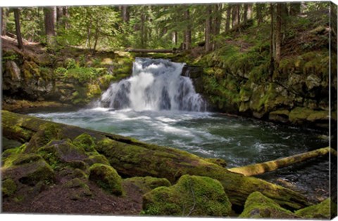 Framed Whitehorse Falls Print