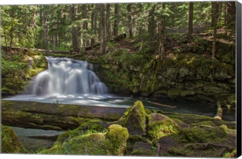 Framed Whitehorse Falls Print