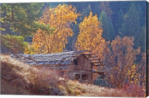 Framed North Fork Cabin Print