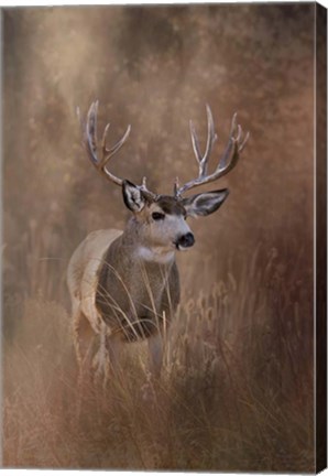 Framed Muley - Malheur Print