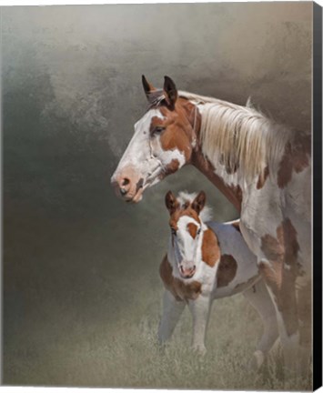 Framed Chinook &amp; Her Foal Print