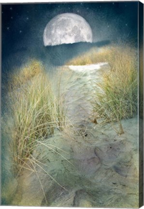 Framed Moonlight Path Print