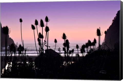 Framed Beach Twilight I Print