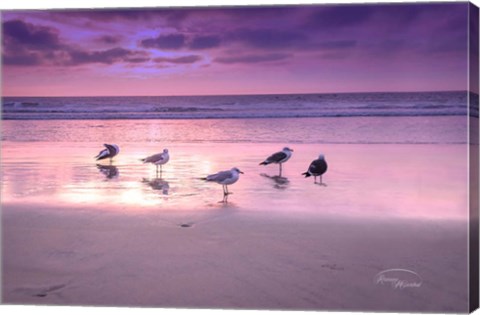 Framed Seagull Beach I Print