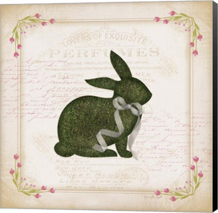 Framed Bunny Print