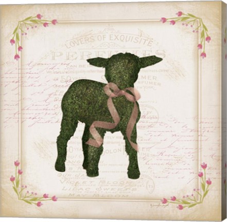 Framed Lamb Print