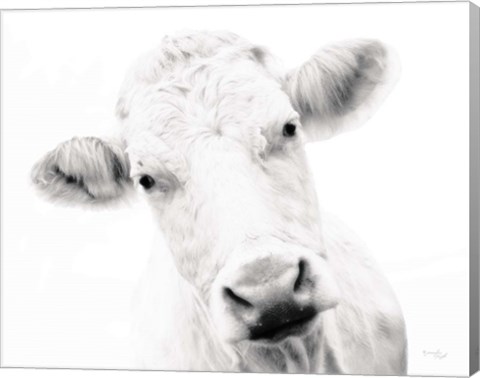 Framed Cow IV Print