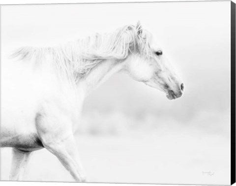 Framed Horse Print
